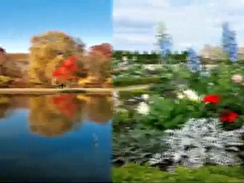 Amuru 13 Visite du parc de Versailles