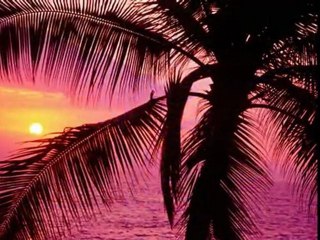 Eddie Vedder - Better Days