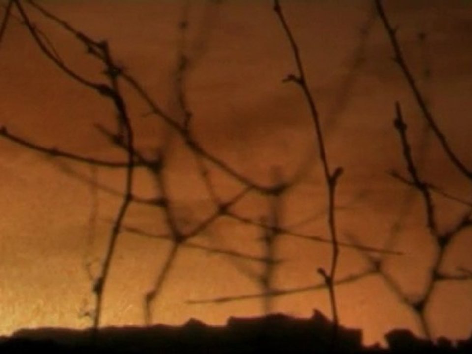 Lighstealer - Le voleur de lumière