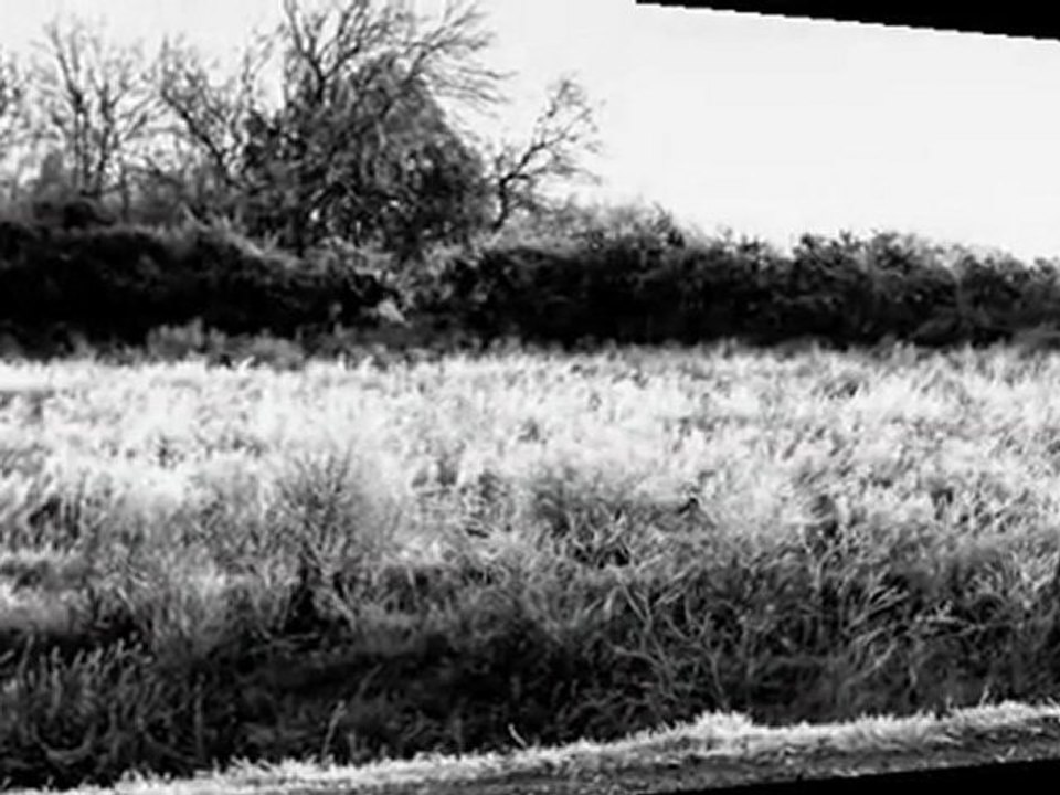 stephanie falla - Casting JVSCAZ Saison #2