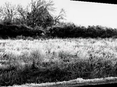 stephanie falla - Casting JVSCAZ Saison #2