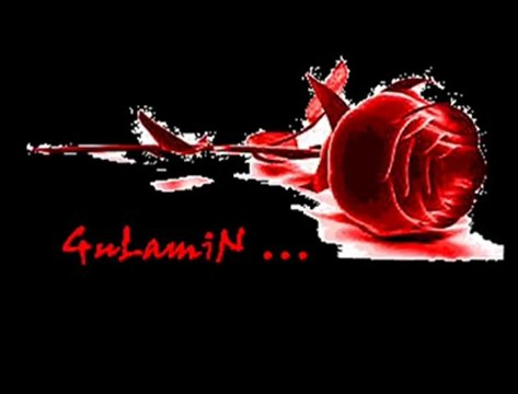 EVRENSEL MÜZİK PINARI GULAMIN HEME HECİ