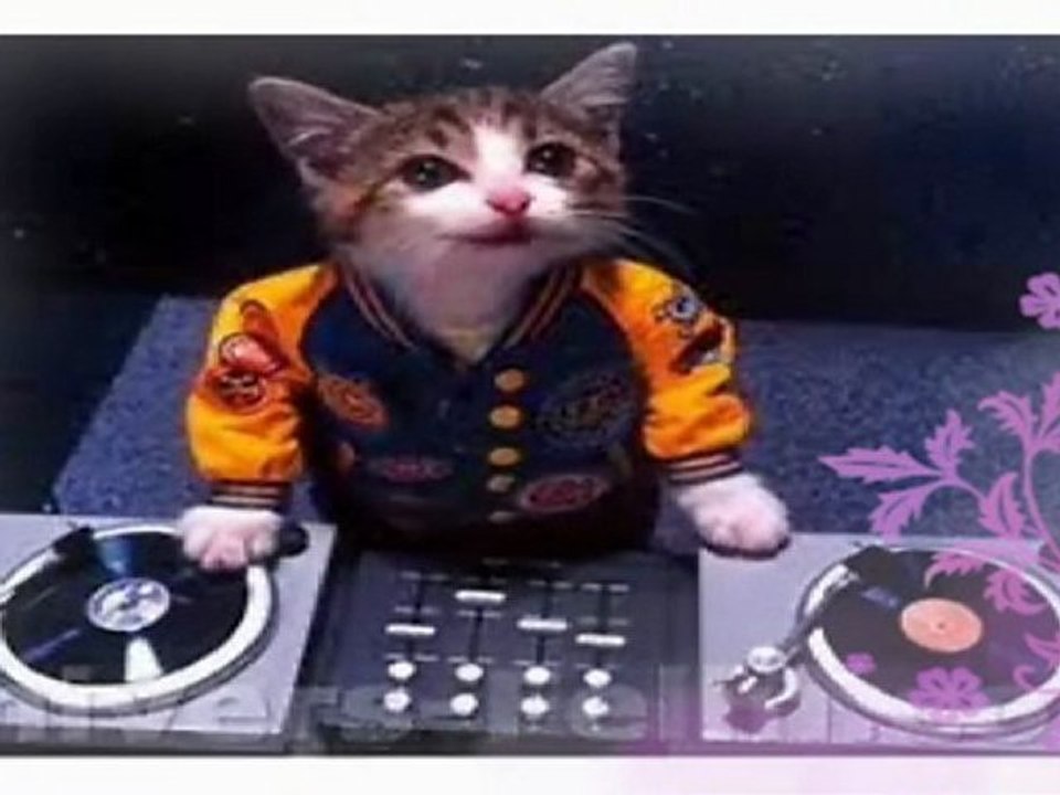 Un sourire Amitié Fidélité Sincérité