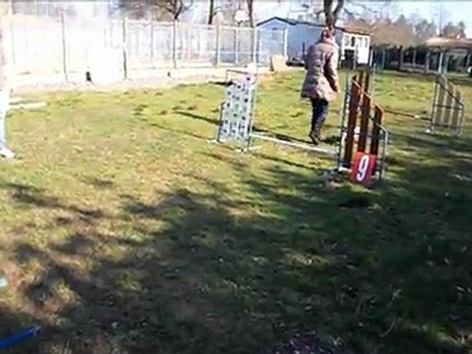 entrainement d'agility  2011  au Canis Club Pessacais Illacais