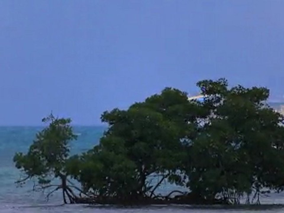 023977_3m38s_24fps1080p HD