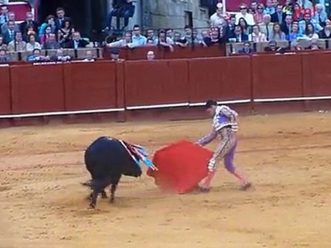 6 mai 2011 : Manzanares à Séville