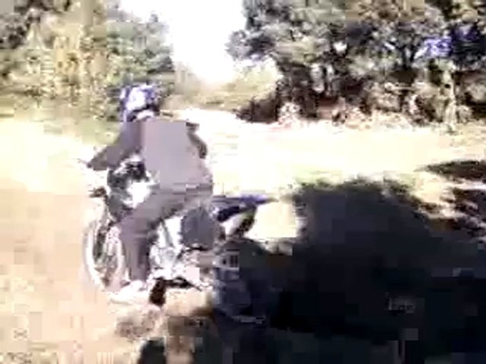 MOH !! 250 cr tonton