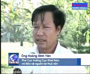 Khó khăn trong xuất khẩu cá ngừ