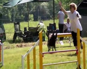 Gisèle et Upsy Championnat régional 2011