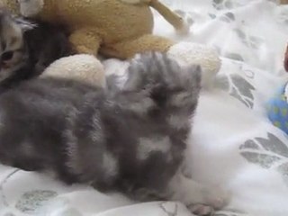 Givenchy n'est pas content !!!!!