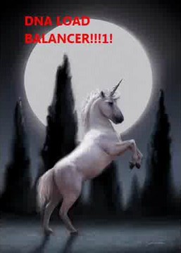 DNA LOAD BALANCER!!!!!!!