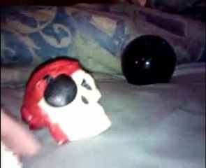 The Adventures of Boney and Boney Jr. Episode 1 (Pilot)