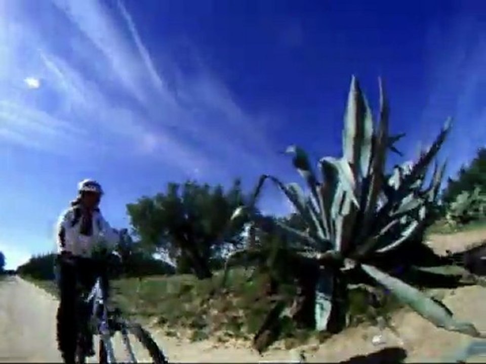 VTT Tunisie