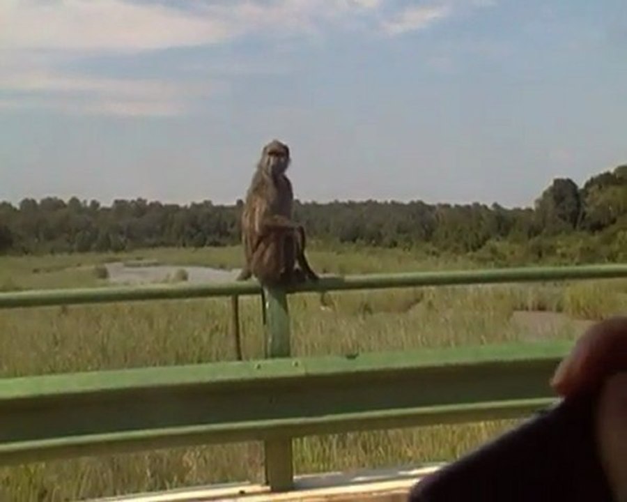 Remake de la pub ESSO