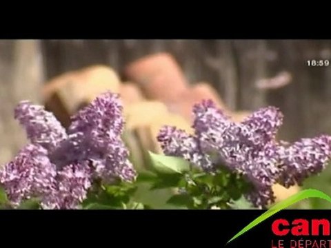 Les deux employés de Celoux (15) licenciés