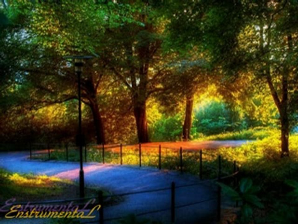 Divane Aşık Gibi (EnstrumentaL)