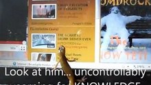 SCIENCE & THE SLIMY  ==  The Salamander