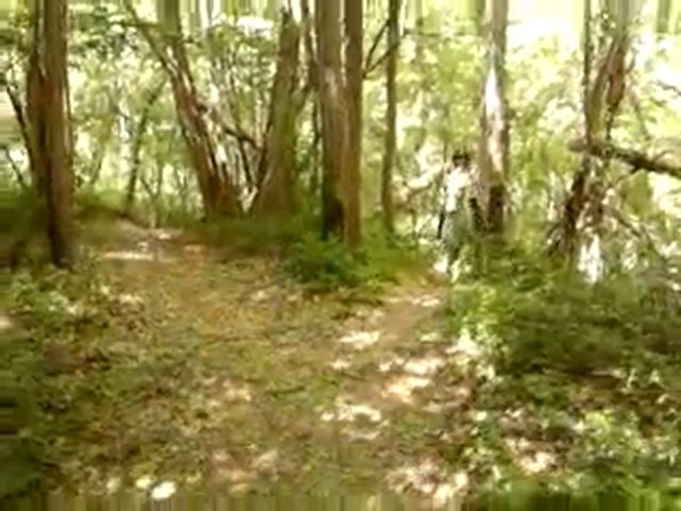 Monter avec kiki