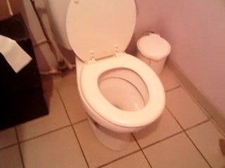 Dame Blanche Toilettes