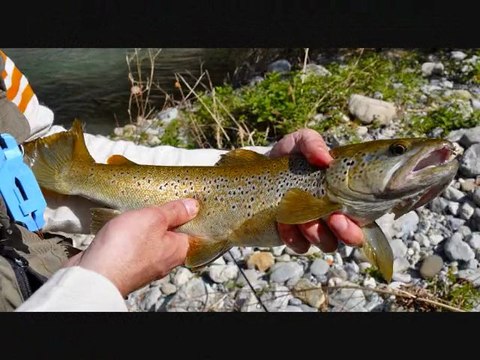 PECHE DE LA TRUITE MAI 2011