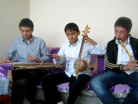 Fikrimin ince gülü