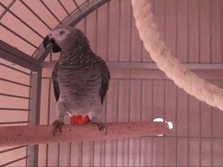 Lilou 16 janvier 2011