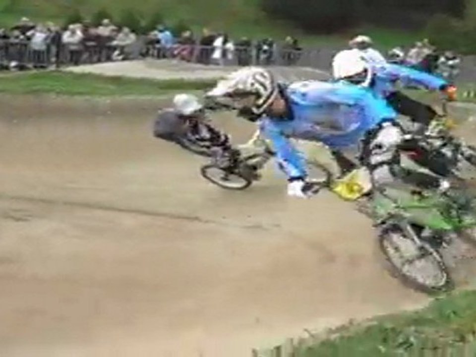 FLERS  2011