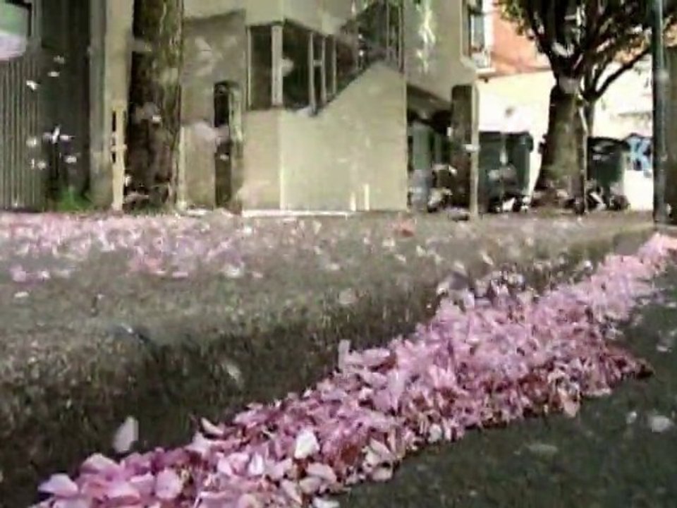 Bonus Stage Block Par'Trib