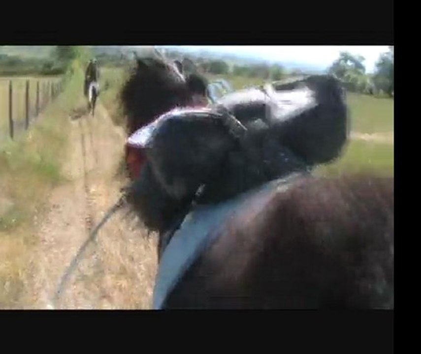 Vacances paques 2011