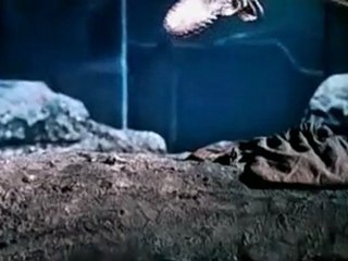 Haunted - 3D (2011) Part 7 @ TELLY-TV.COM