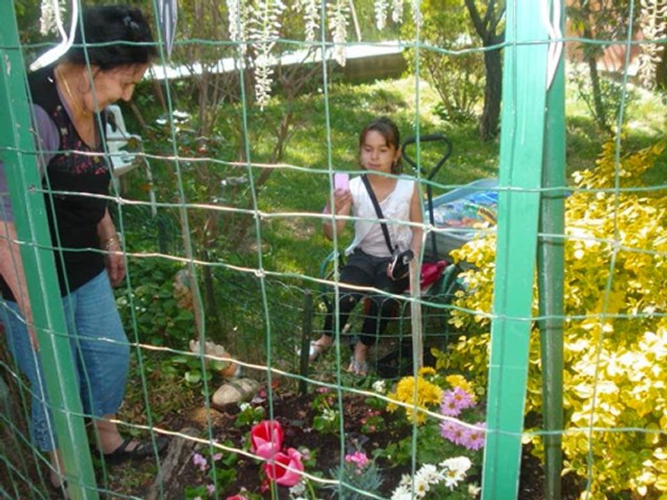 Mon jardin en mai 2011