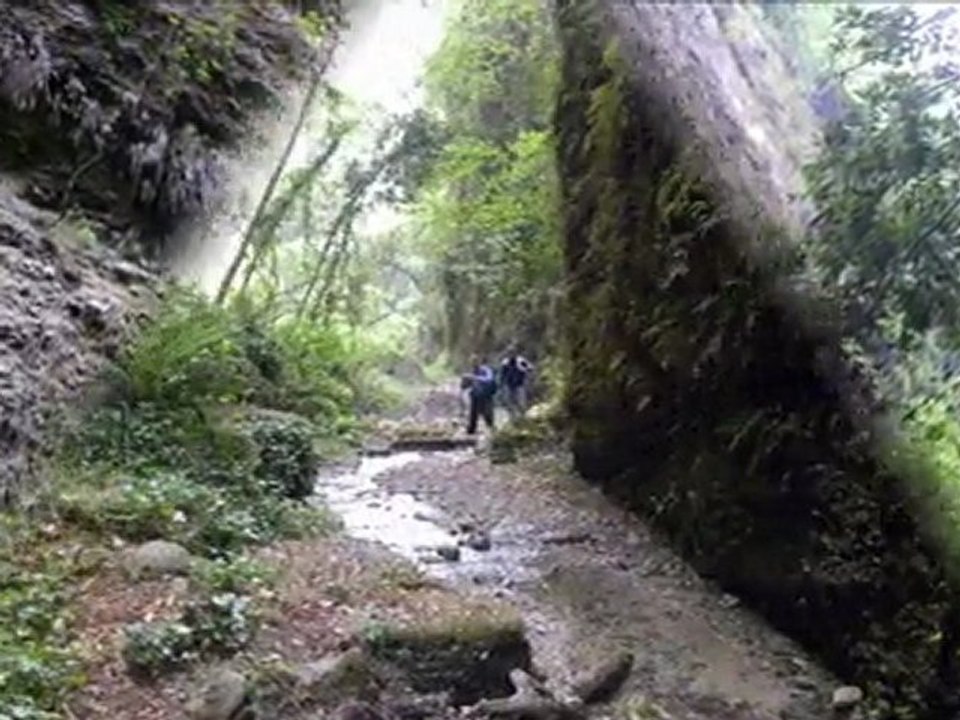 vallon