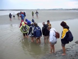 Les pieds dans l'eau Mont St Michel