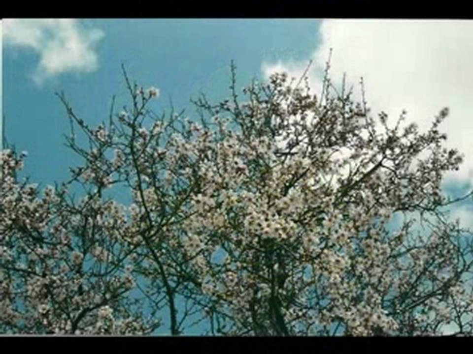 2011 NİSAN 2-A-İRFAN VURAL
