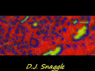 U.2. remix (d.j. snaggle)