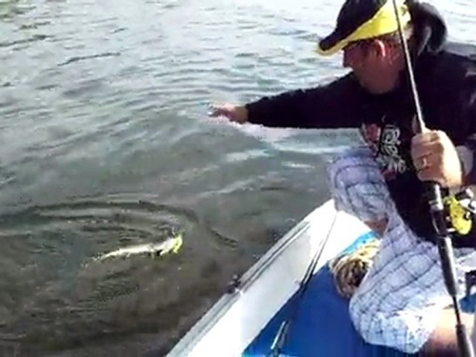 brochet avec spinner landfish