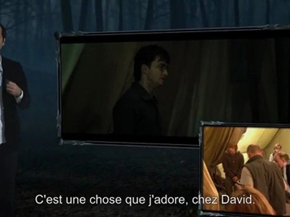 Harry Potter et les Reliques de la Mort  Ron et Harry