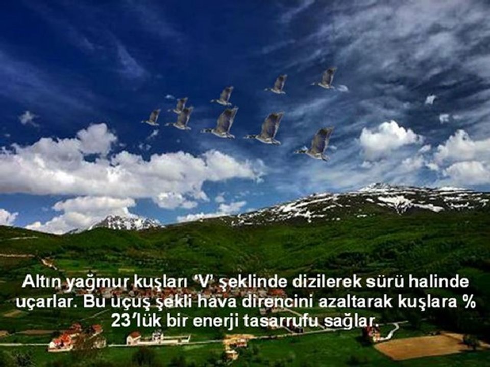 sebep-netice delili 1