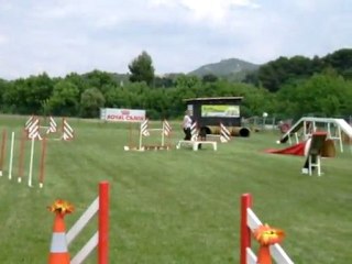 asian gpf