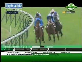 PRIX HOCQUART (G2) - 2011 -   PRAIRIE STAR  (PEINTRE CELEBRE)