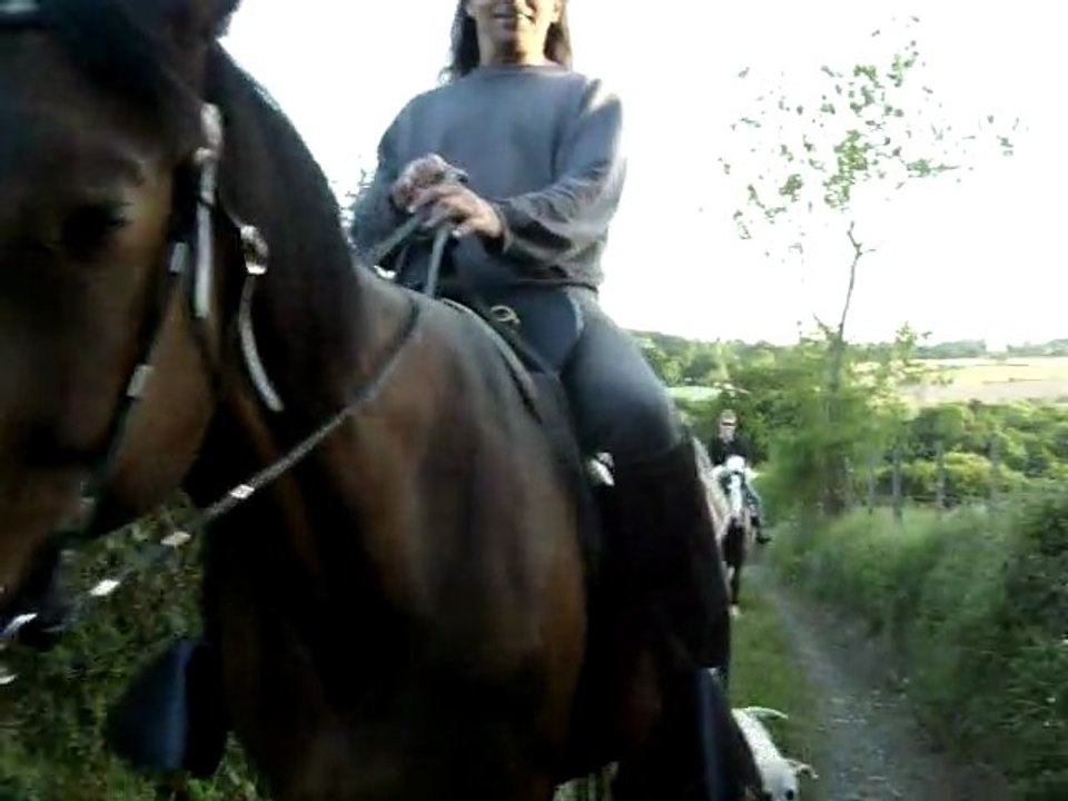 13.5.2011 (27)