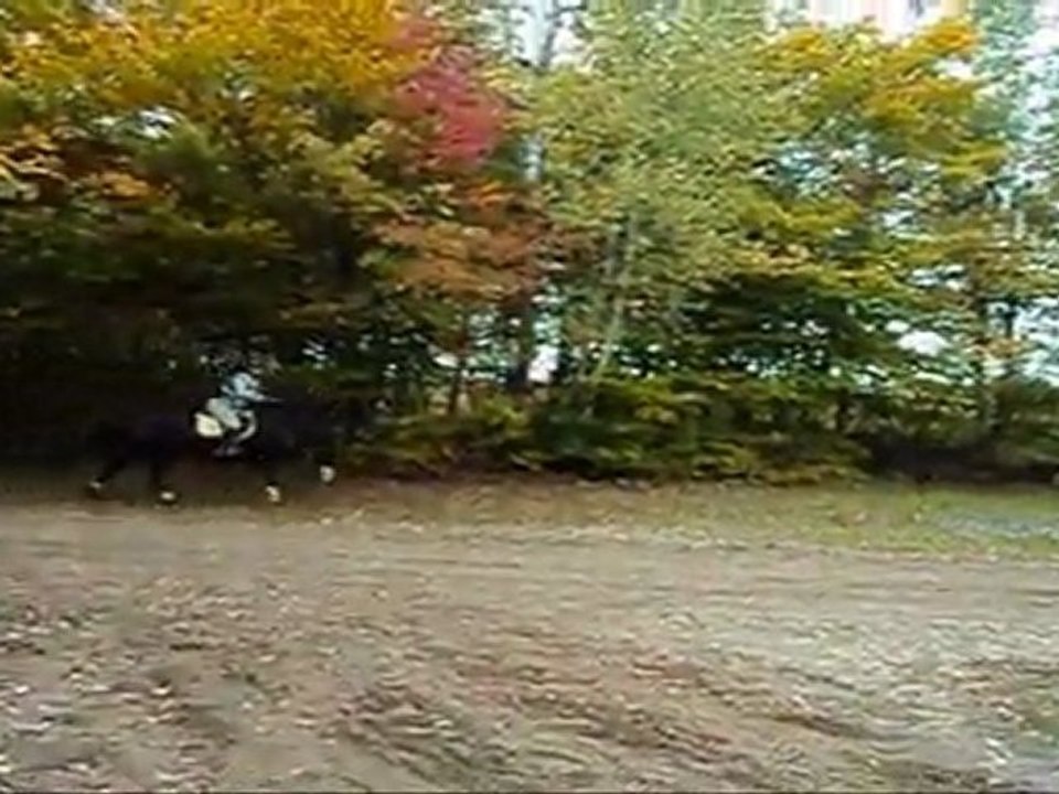 1 an avec Paradox