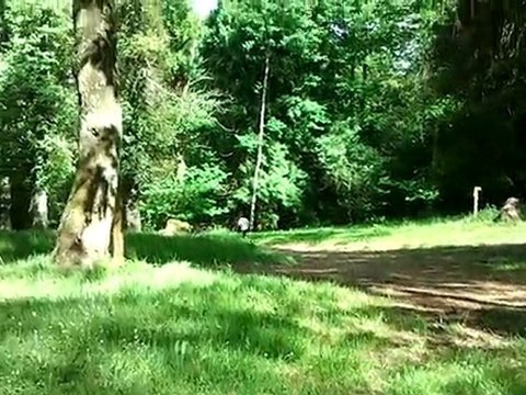 Pierre gasser : 10€ l'apparition