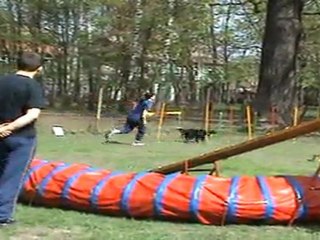 "Zuikelio taurė" - VilmaxDžaja1