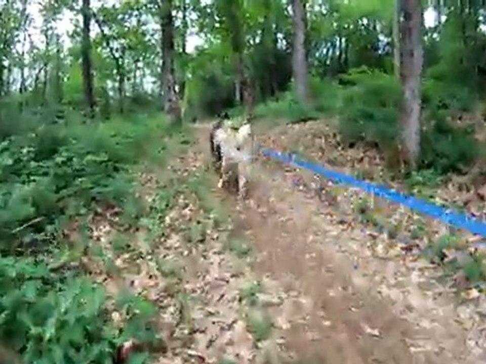 2011-05-15 - Daya et Forest - 2