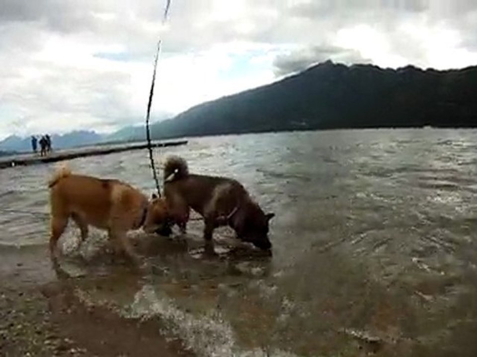 2011-05-15 - Daya et Forest - 5