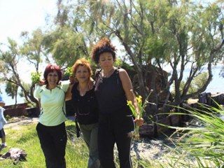 La petite camargue de st chamas