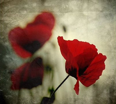 Hatırla / Şiir: Mevlânâ Celâleddin Rumî / Yorum: Serdar Tuncer