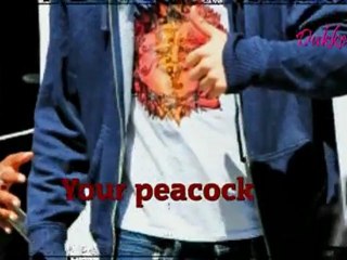 2011-02-14 Robert _I wanna see your peacock_