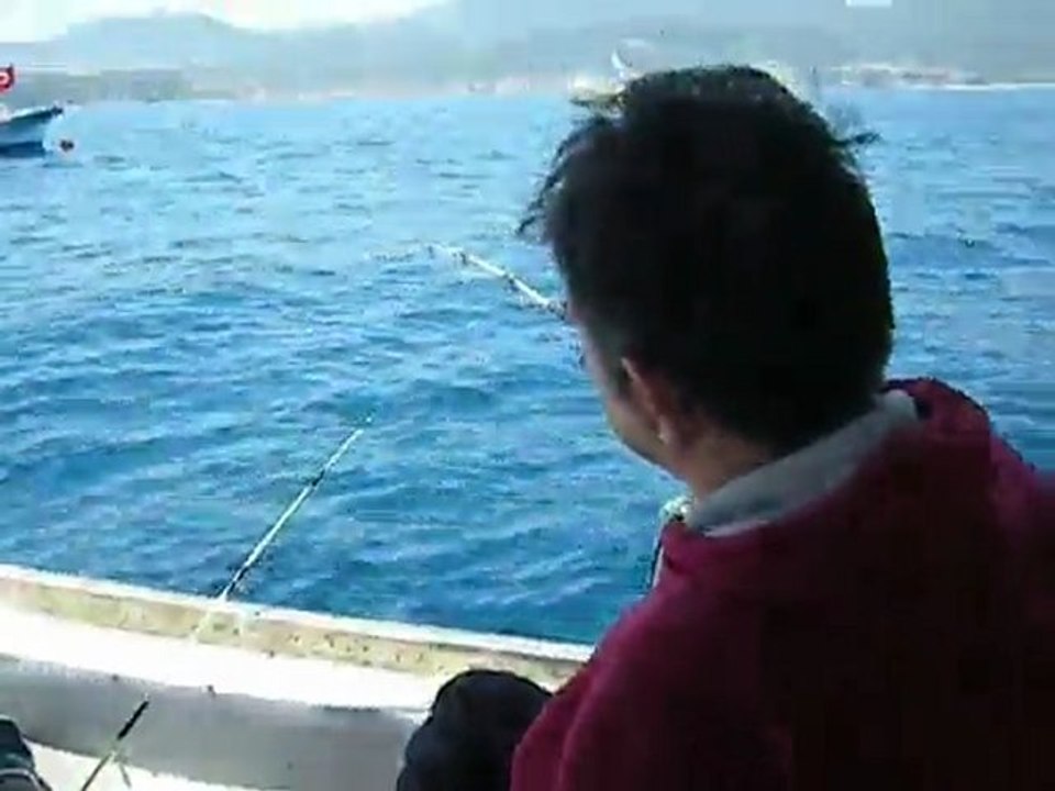 BulSep Mordoğan Denizle Buluşma Antenli mercan